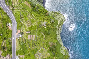Road Trip Prints: car on empty road crossing the lush green land by the ocean, Seixal, Madeira island