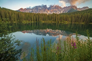 Firs Prints: Carezzas lake, Dolomites, Bolzano, Trentino Alto Adige, Italy