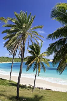 Caribbean, Antigua and Barbuda, Halfmoon Bay