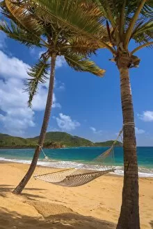 Images Dated 9th March 2015: Caribbean, Antigua, Curtain Bluff, Curtain Bluff Beach, Hammock between Palm Trees