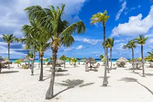 Caribbean, Aruba, Oranjestad, Palm trees on Eagle Beach