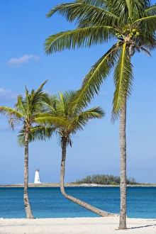 White Sand Prints: Caribbean, Bahamas, Providence Island, Nassau, Palm trees on white sand beach with
