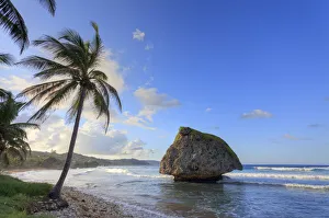 Barbados Gallery: Caribbean, Barbados, Bathsheba bay