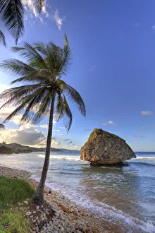 Caribbean, Barbados, Bathsheba bay