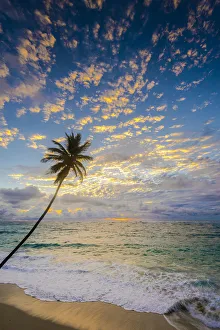 Images Dated 16th August 2013: Caribbean, Barbados, Bottom Bay, Bottom Bay Beach