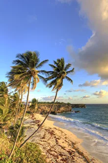 Barbados Gallery: Caribbean, Barbados, Bottom Bay Beach