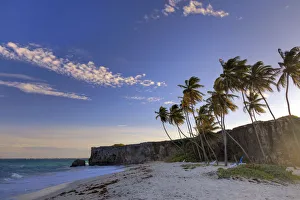 Caribbean, Barbados, Bottom Bay Beach