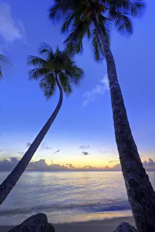 Caribbean, Barbados, Mullins Beach