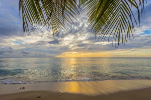 Barbados Gallery: Caribbean, Barbados, Mullins Beach