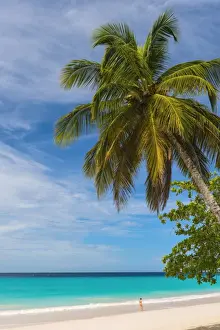 Caribbean, Barbados, Oistins, Miami Beach or Enterprise Beach