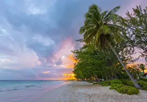 Caribbean, Barbados, Oistins, Miami Beach or Enterprise Beach
