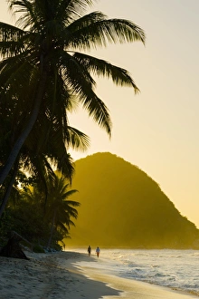 Caribbean, British Virgin Islands, Tortola, Long Bay, Long Bay Beach
