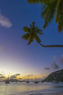 Caribbean, British Virgin Islands, Tortola, Cane Garden Bay, Cane Garden Bay Beach