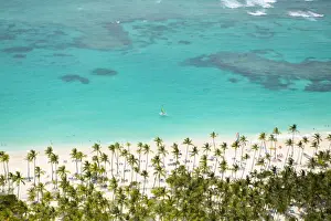 Caribbean, Dominican Republic, La Altagracia province, Punta Cana, Bavaro, aerial