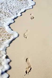 Footprints Prints: Caribbean, Dominican Republic, La Altagracia province, Punta Cana, Bavaro, footprints