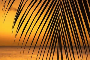 Caribbean, Grenada, Grand Anse Bay, Grand Anse Beach