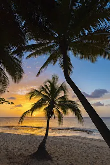 Caribbean, Grenada, Magazine Beach