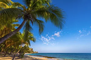 Caribbean, Grenada, Magazine Beach