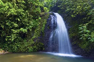 Blurred Prints: Caribbean, Martinique, Cascade de Saut Gendarme (Leaping Constable Waterfall)