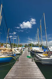 Pointe Du Bout Prints: Caribbean, Martinique, Pointe du Bout, Marina