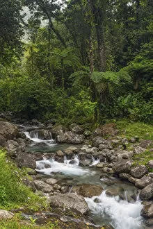 Caribbean, Martinique, Route de la Trace, Riviere Blanche, Alma Waterfall at Pont