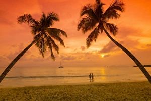 West Indies Gallery: Caribbean, Martinique, Sainte Anne, Grande Anse des Salines