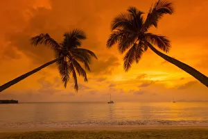 Images Dated 16th August 2013: Caribbean, Martinique, Sainte Anne, Grande Anse des Salines