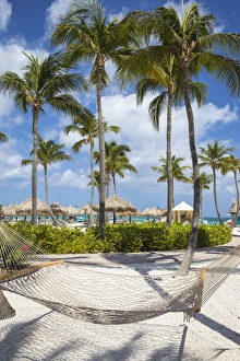 Caribbean, Netherland Antilles, Aruba, Hammock on Palm beach