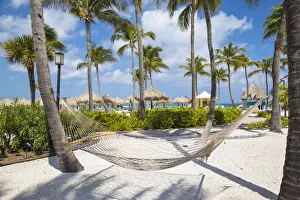 Caribbean, Netherland Antilles, Aruba, Hammock on Palm beach
