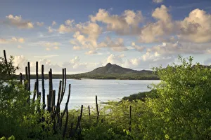 Caribbean, Netherland Antilles, Bonaire, Washington Slagbaai National Park, Flamingoes