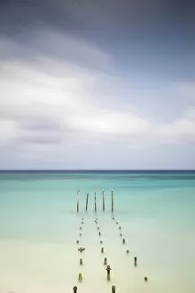 Abc Island Gallery: Caribbean, Netherland Antilles, Aruba, Divi beach, Pelicans on wooden posts