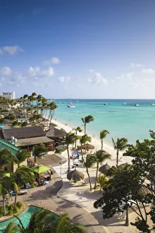 Caribbean, Netherland Antilles, Aruba, Palm beach