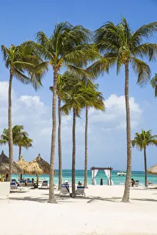 Caribbean, Netherland Antilles, Aruba, Palm beach