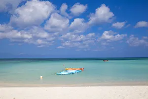 Caribbean, Netherland Antilles, Aruba, Palm beach