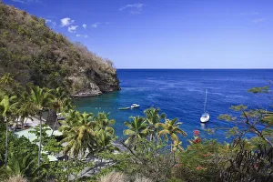 St Lucia Prints: Caribbean, St Lucia, Anse Chastanet Beach