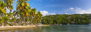West Indies Prints: Caribbean, St Lucia, Marigot, Marigot Bay
