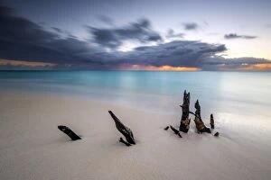Caribbean sunset frames tree trunks on Ffryers Beach, Antigua and Barbuda, Leeward Islands