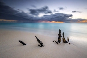 Caribbean sunset frames tree trunks on Ffryers Beach, Antigua and Barbuda, Leeward Islands Caribbean sunset frames tree trunks on Ffryers Beach, Antigua and Barbuda, Leeward Islands