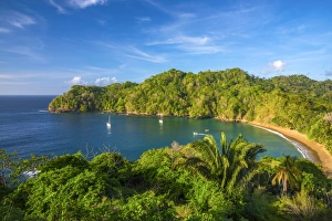 Caribbean, Trinidad and Tobago, Tobago, Englishmans Bay, Englishmans Bay Beach
