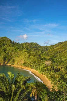 Caribbean, Trinidad and Tobago, Tobago, Englishmans Bay, Englishmans Bay Beach