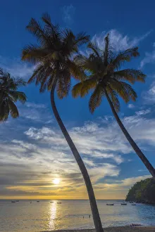 Caribbean, Trinidad and Tobago, Tobago, Castara Bay, Castara