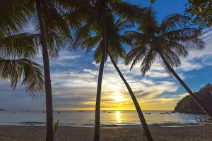 Caribbean, Trinidad and Tobago, Tobago, Castara Bay, Castara