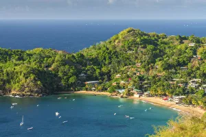 Caribbean, Trinidad and Tobago, Tobago, Castara Bay, Castara