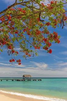 Caribbean, Trinidad and Tobago, Tobago, Pigeon Point