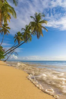 Editor's Picks: Caribbean, Trinidad and Tobago, Tobago, Pigeon Point