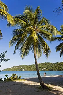 Images Dated 30th April 2008: Caribbean, US Virgin Islands, St. Thomas, Palms and beach at Magens Bay, the most
