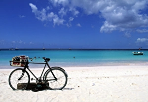 Bicylces Gallery: Carlisle bay