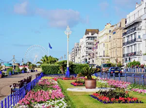 Big Wheel Prints: Carpet Gardens, Eastbourne, East Sussex, England, United Kingdom
