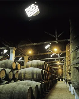Port Wine Prints: The Casa do Douro wine cellars, Regua, Portugal