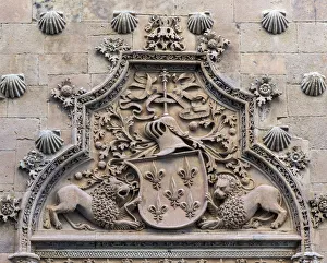 Public Library Prints: Casa de las Conchas, Salamanca, Castile and Leon, Spain